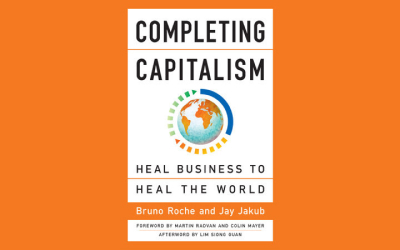 Book : Completing Capitalism
